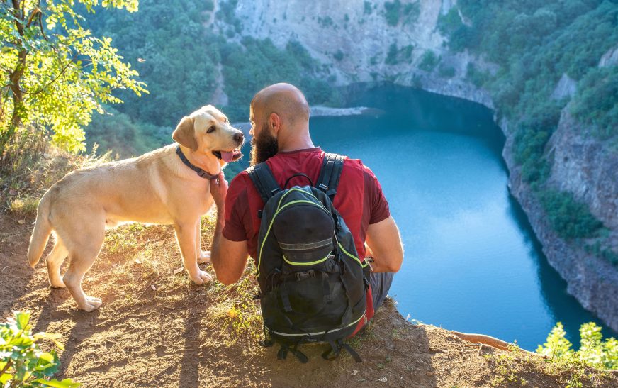 Best Dog-Friendly Hiking Trails in USA