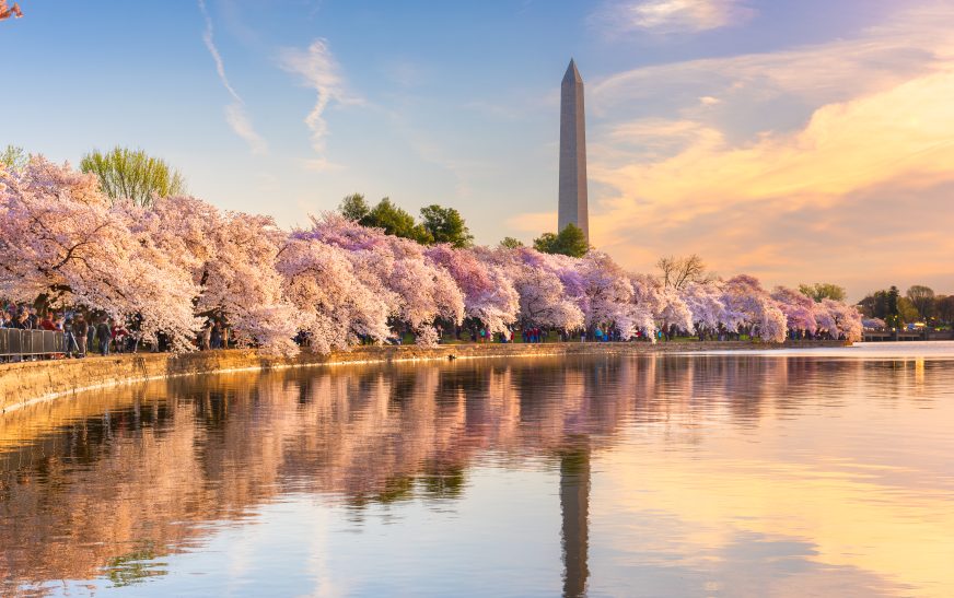Best Places to Visit in Spring in USA