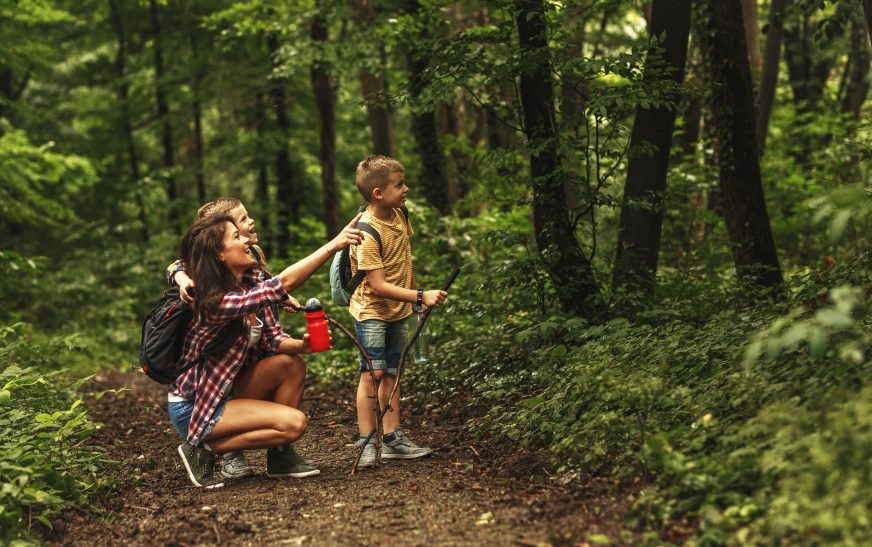 Easy Hiking Trails for First-Time Hikers