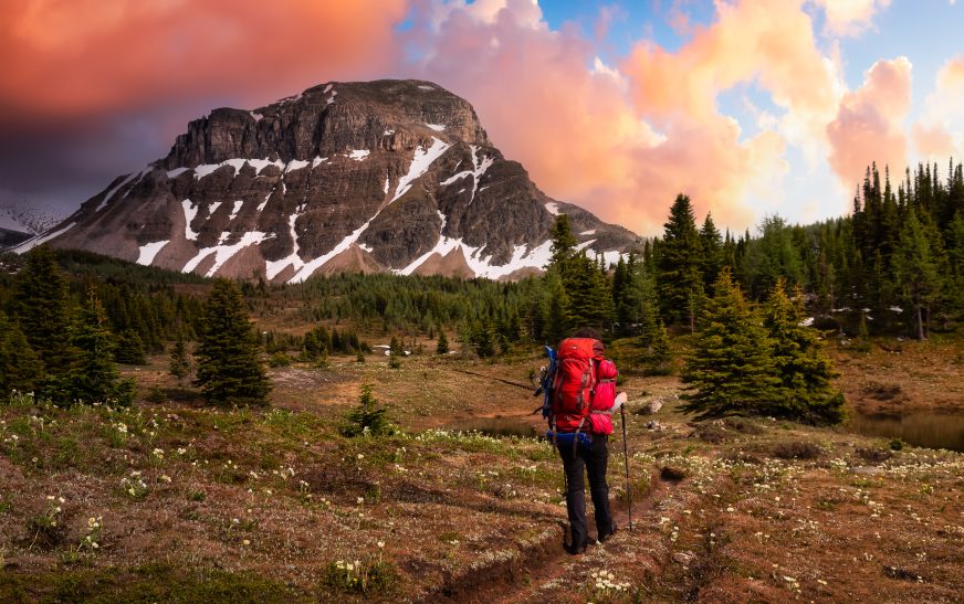 Top Hikes in National Parks