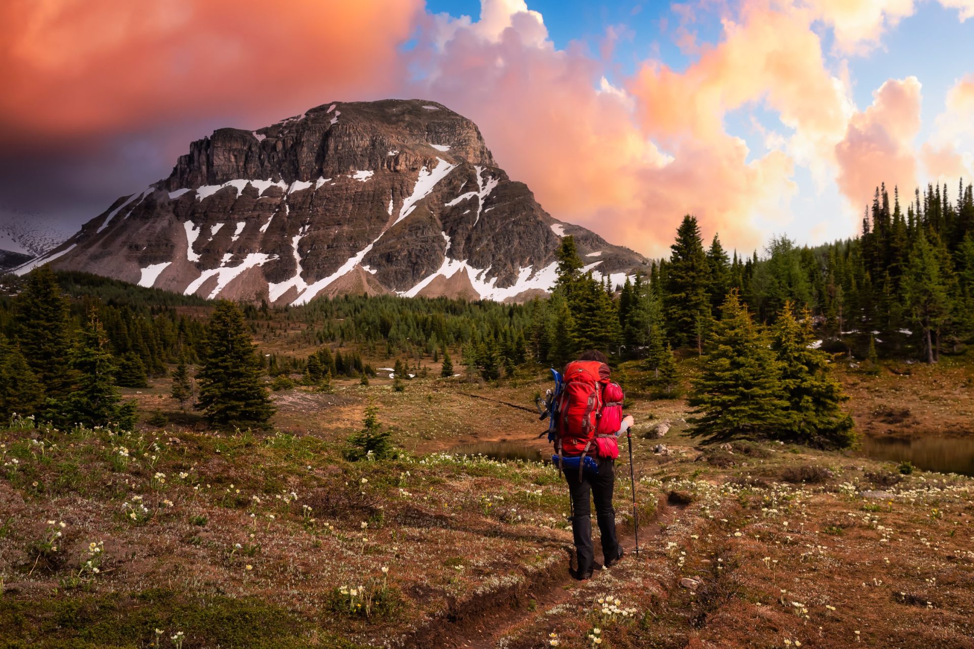 Top Hikes in National Parks