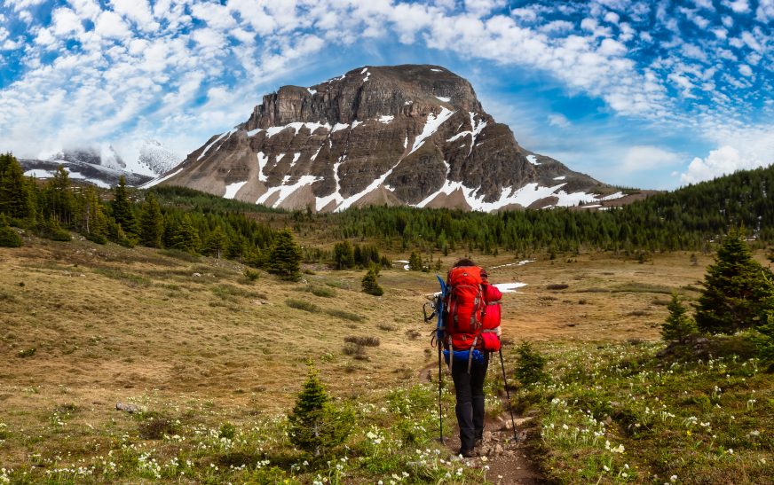 Best Beginner Hiking Trails in USA