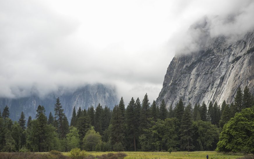 When to Visit Yosemite for Perfect Weather