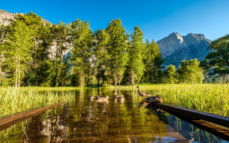 Affordable Weekend Nature Escapes in USA