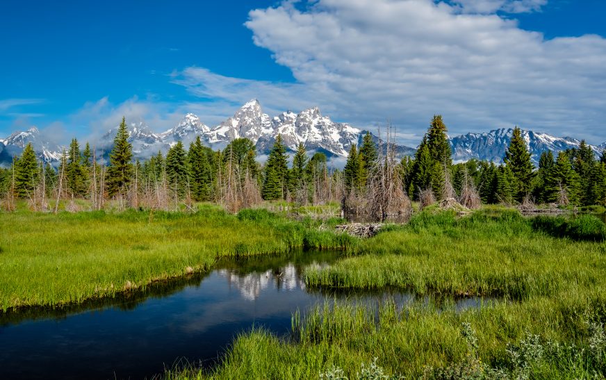 Top National Parks to Visit in Spring