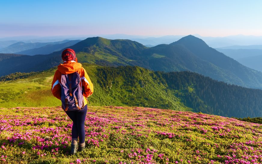 Spring Hiking Destinations in USA