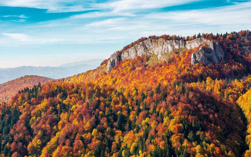 Top Places to See Autumn Colors in USA