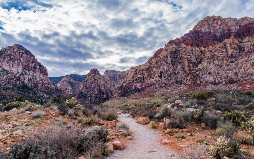 Best National Park Trails for Scenery
