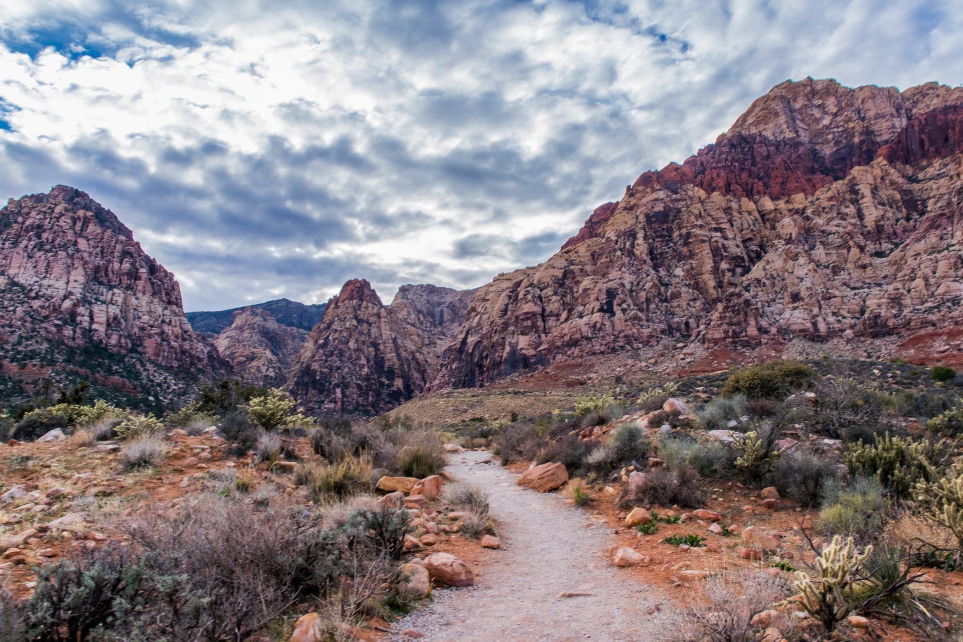 Best National Park Trails for Scenery