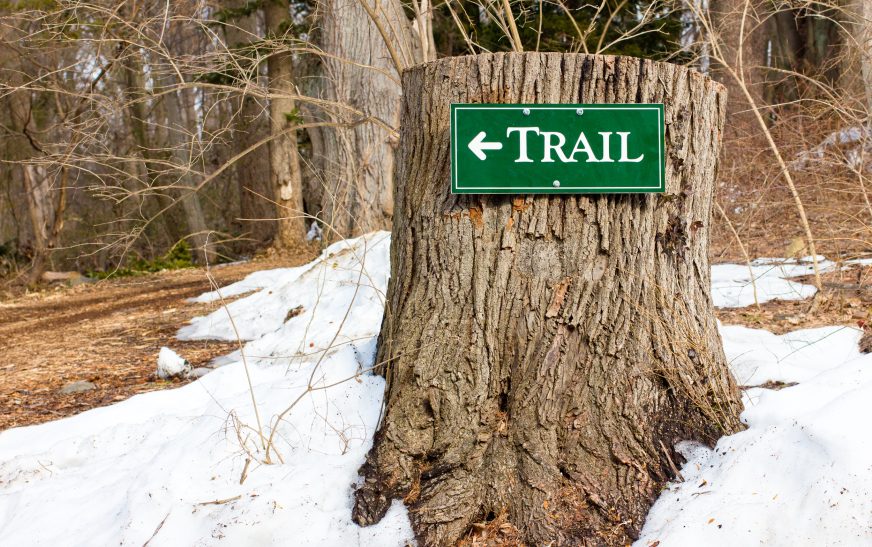 Proper Trail Etiquette for Hikers