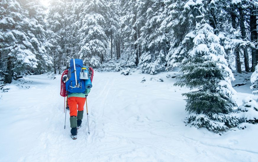 Winter Survival Basics for Hikers
