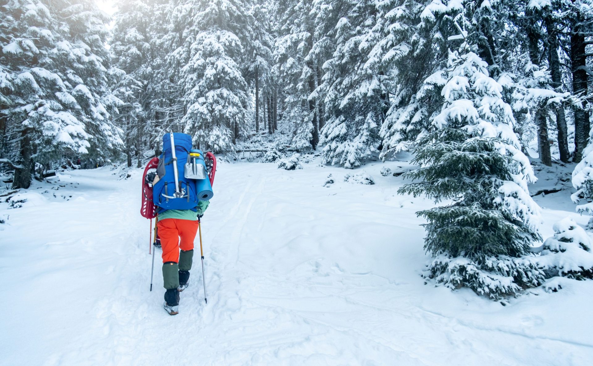 Winter Survival Basics for Hikers