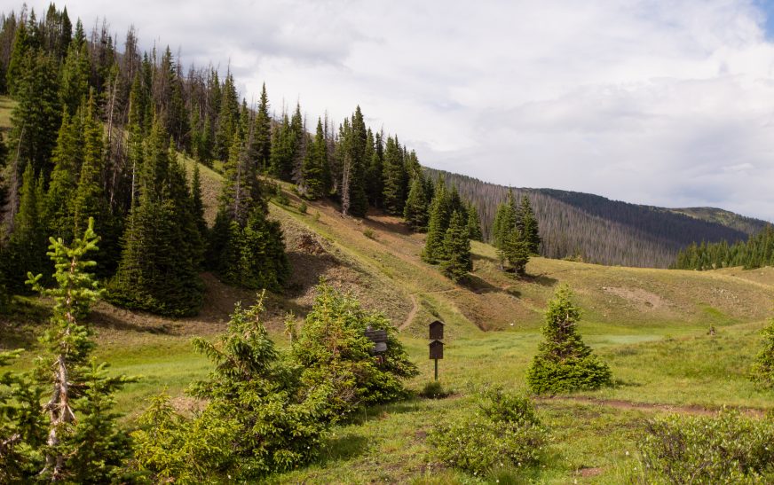 Must-Do National Park Trails in 2026