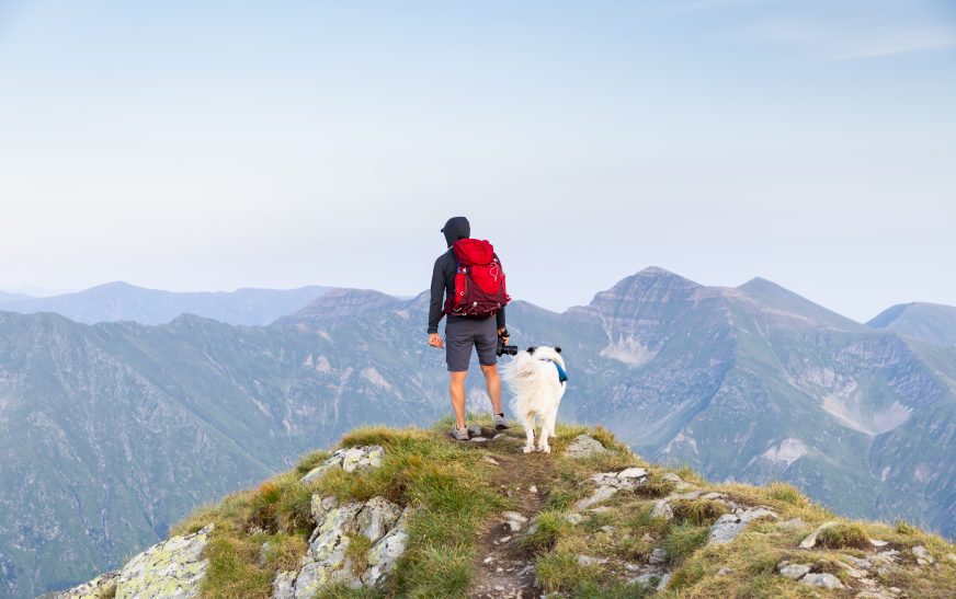 Tips for Hiking with Your Dog in USA