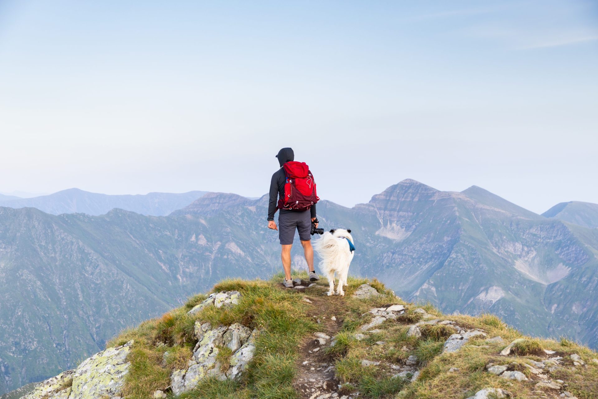 Tips for Hiking with Your Dog in USA
