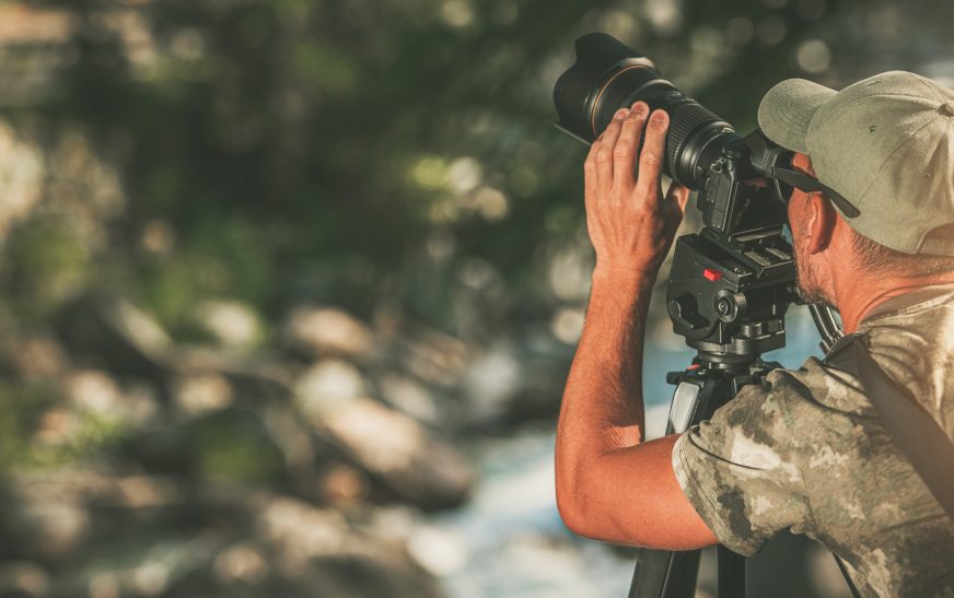 Wildlife Photography Guide for Beginners