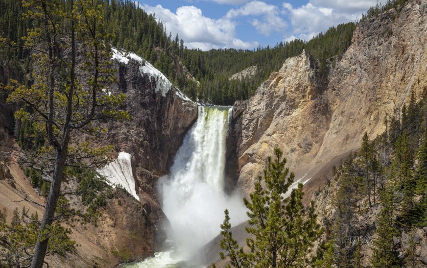 Best Time to Visit Yellowstone National Park