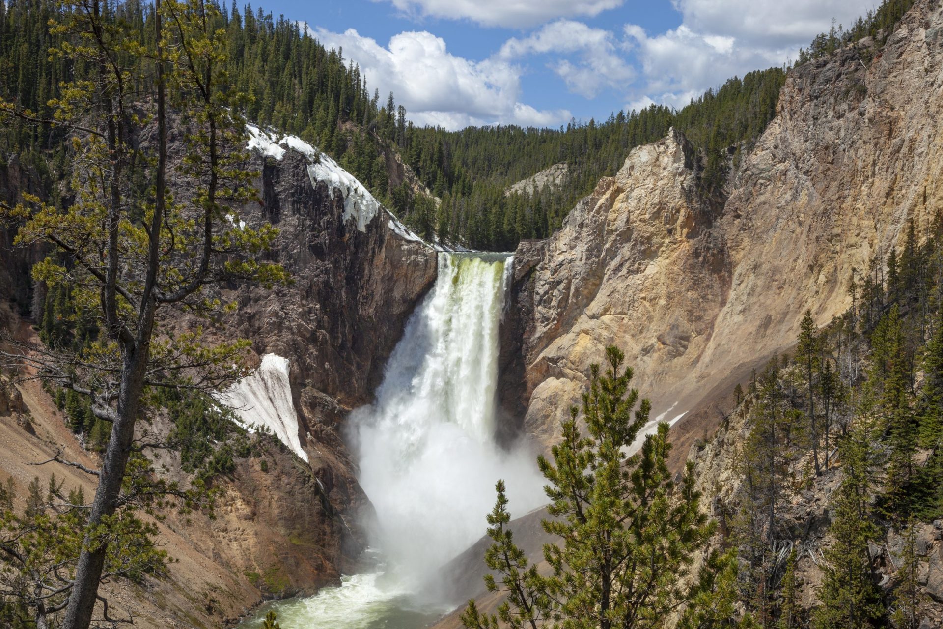 Best Time to Visit Yellowstone National Park