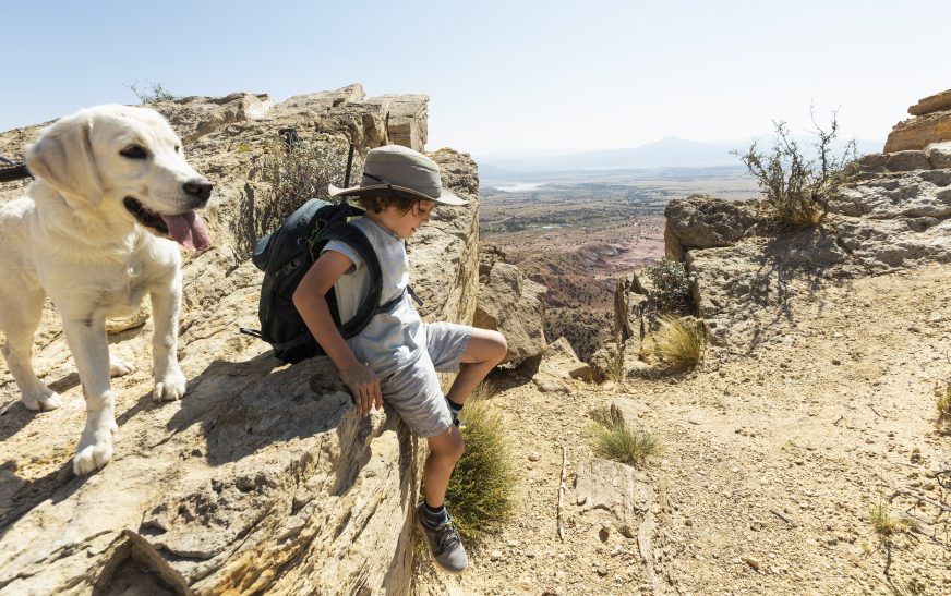Top Places for Dog-Friendly Outdoor Adventures