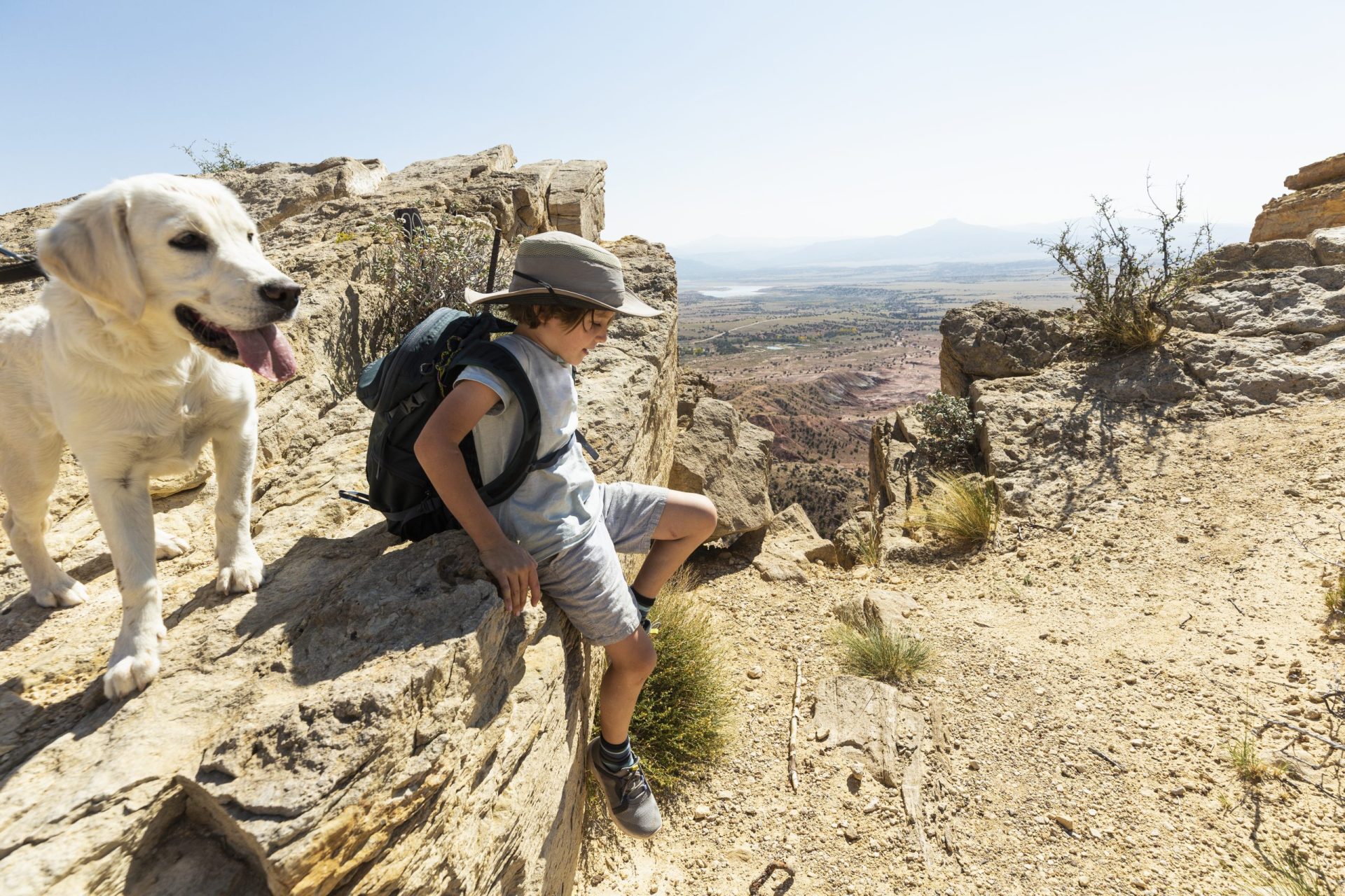 Top Places for Dog-Friendly Outdoor Adventures
